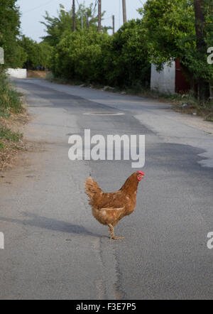 Descoperă jocul chicken road